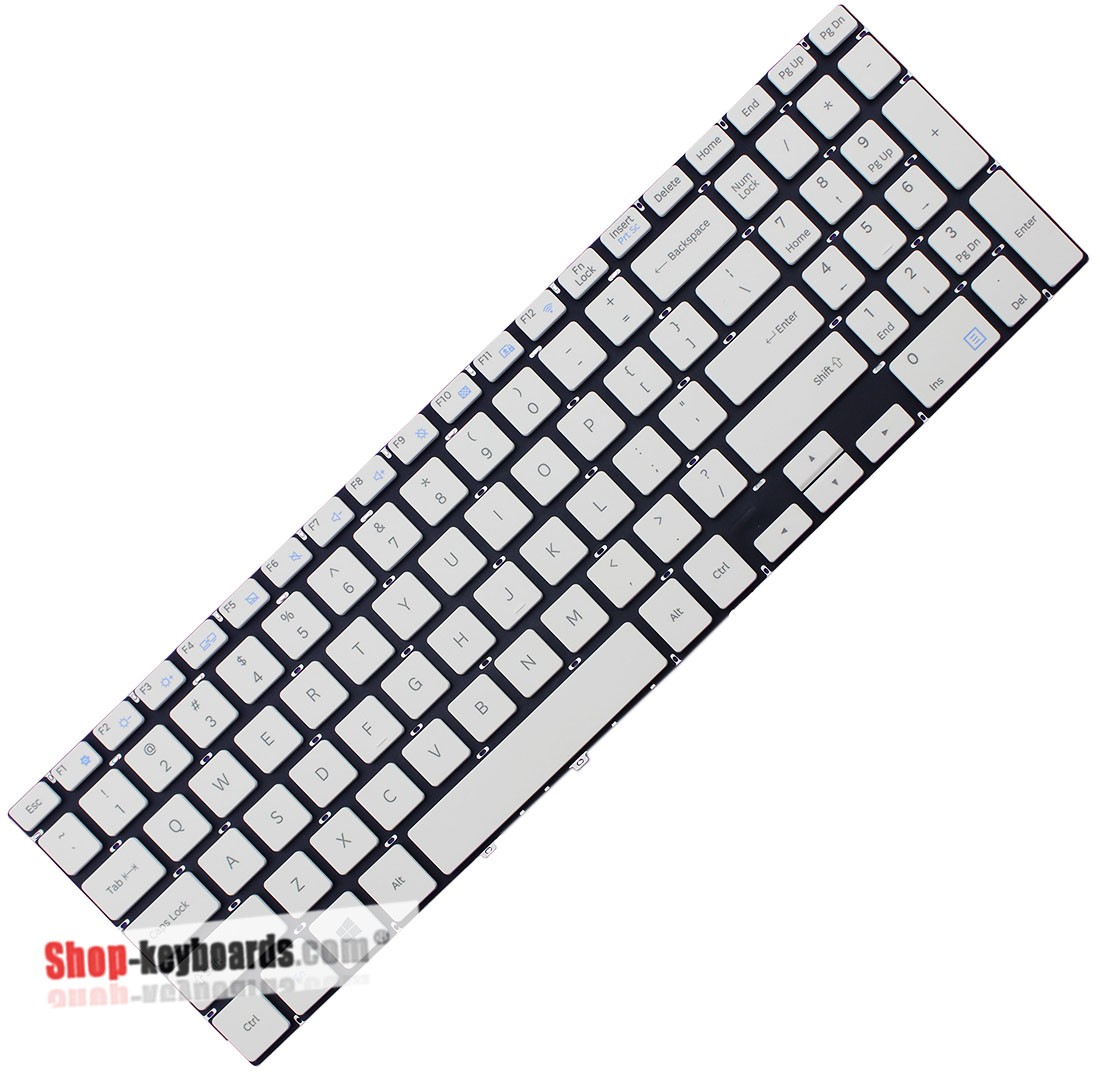 Samsung NP500R5H-X01  Keyboard replacement