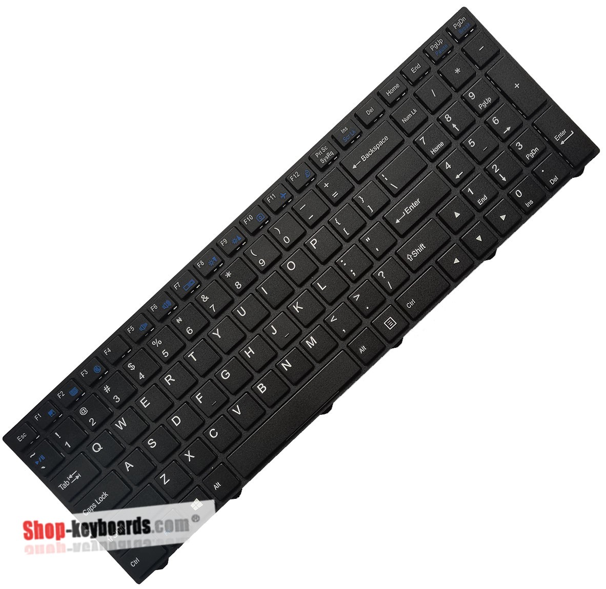 Clevo 6-80-N2500-280-1H Keyboard replacement