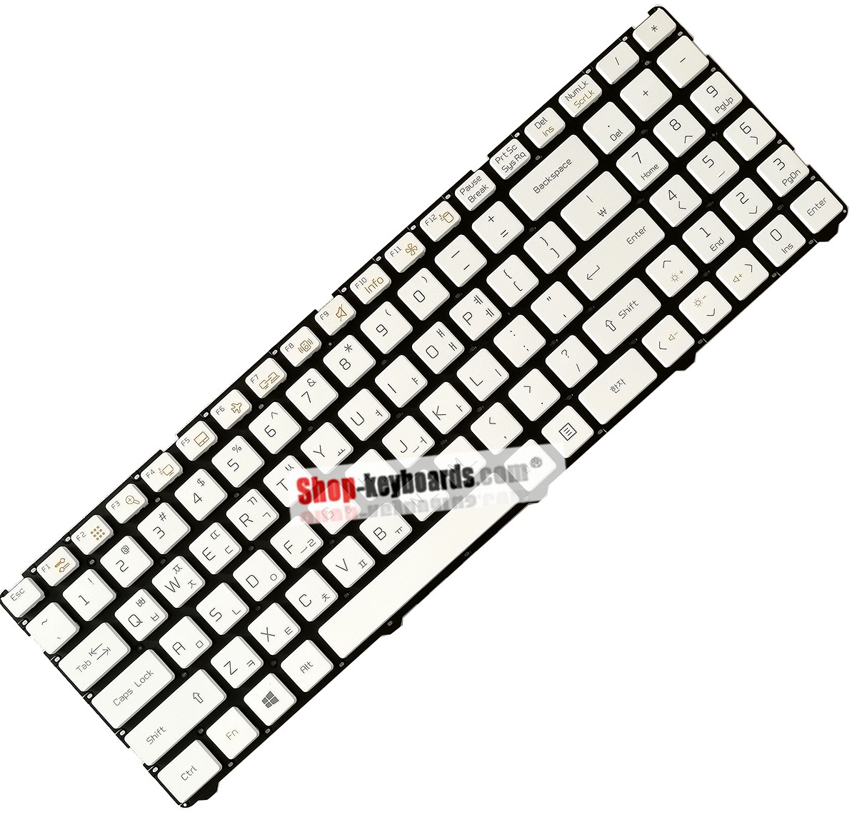 LG MP-12K73A0-9208 Keyboard replacement