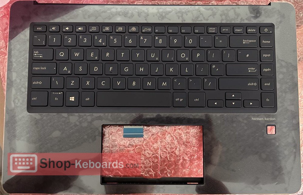 Asus ZENBOOK zenbook-ux580gd-e2070r-E2070R  Keyboard replacement