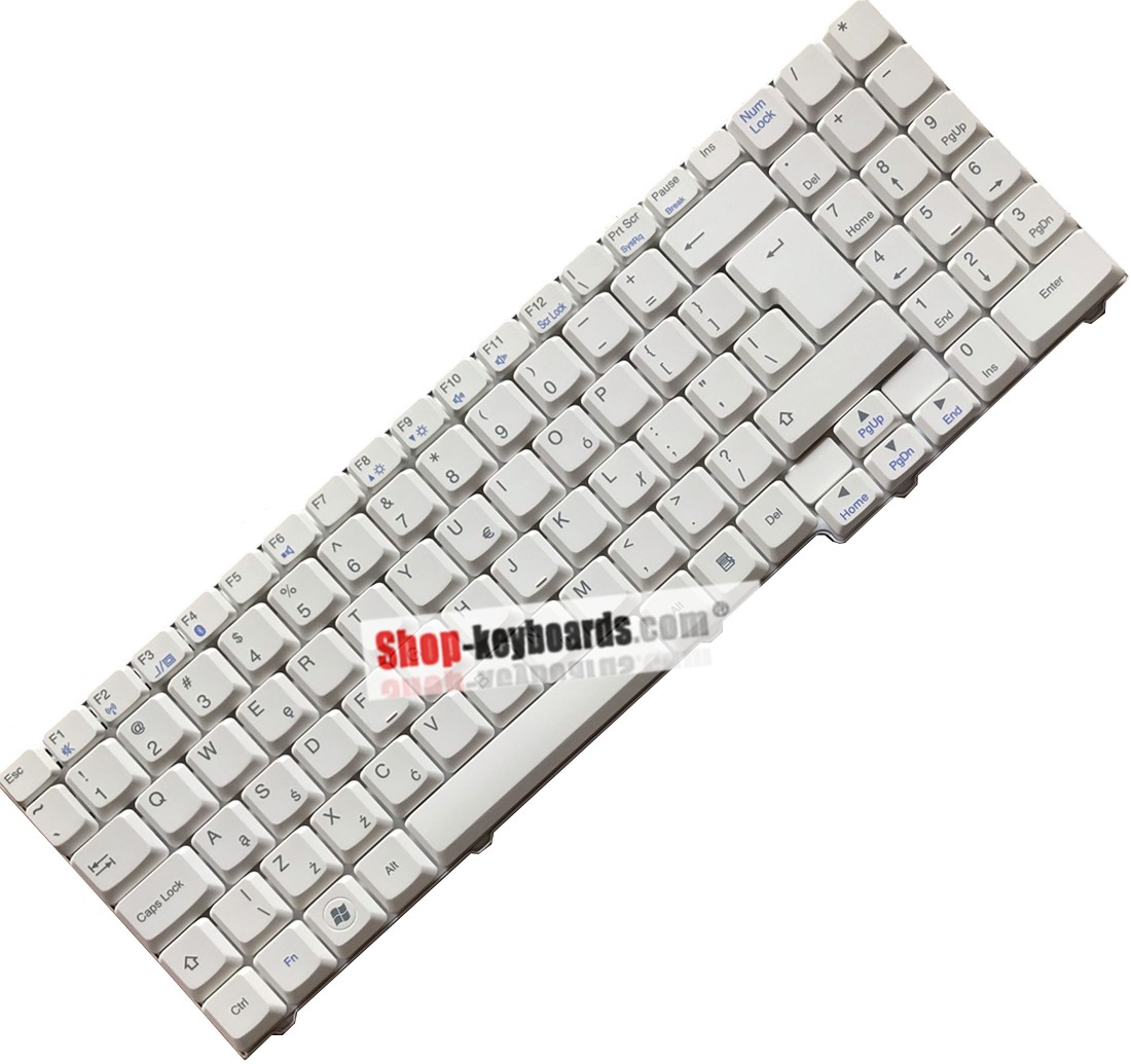 Packard Bell EasyNote SB87 Keyboard replacement