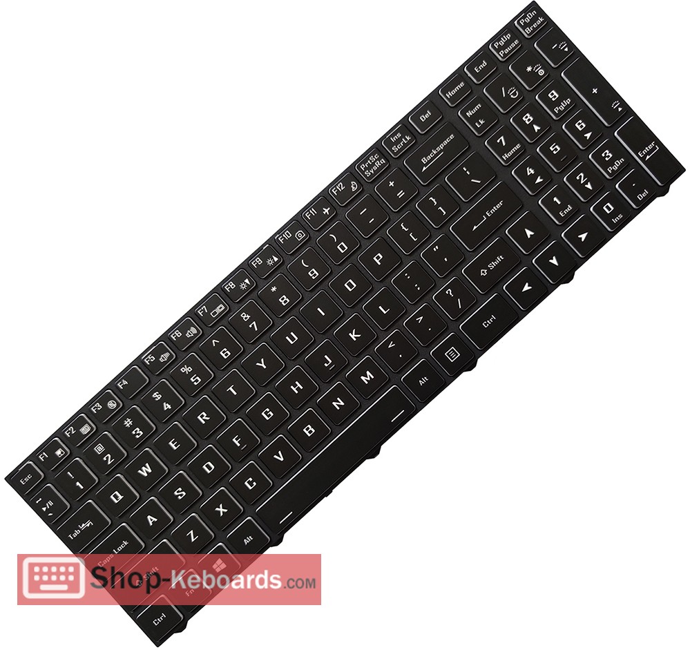 Clevo NJ51PU Keyboard replacement