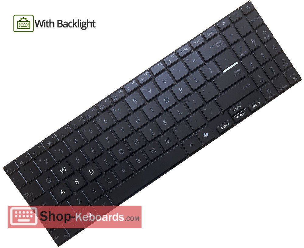 Asus SN5D01B30 Keyboard replacement
