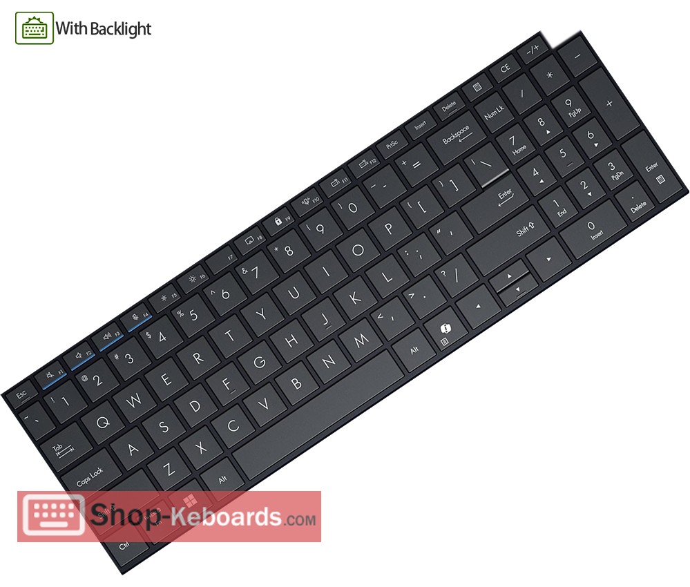 Asus B3605CVA Keyboard replacement