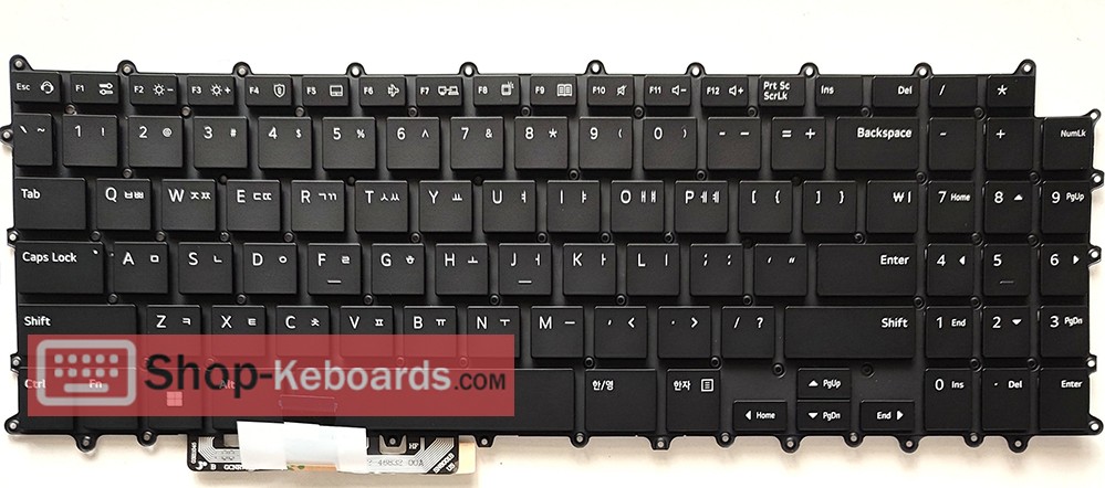 LG GRAM 15Z90Q-G.AA55Y  Keyboard replacement