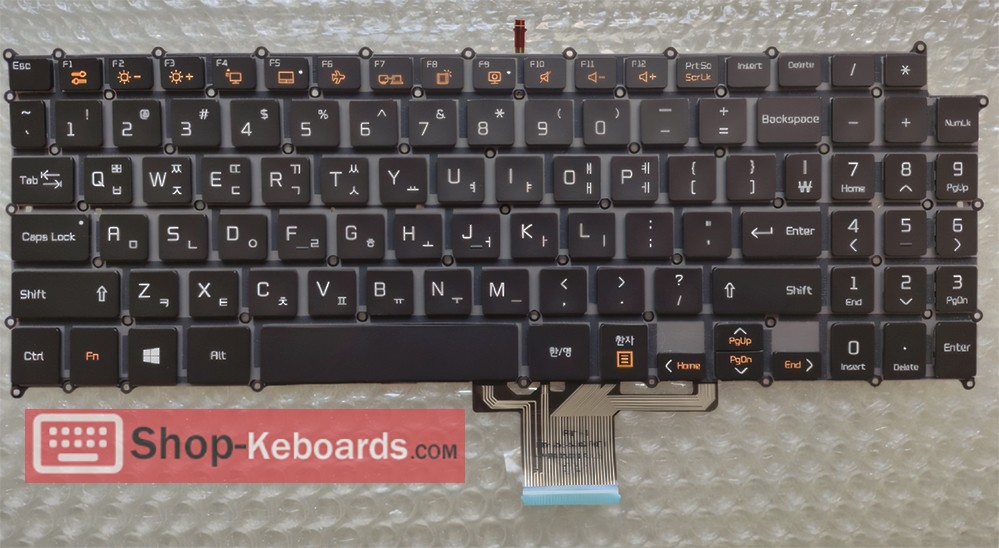 LG GRAM 15Z970-G.AA6BB  Keyboard replacement