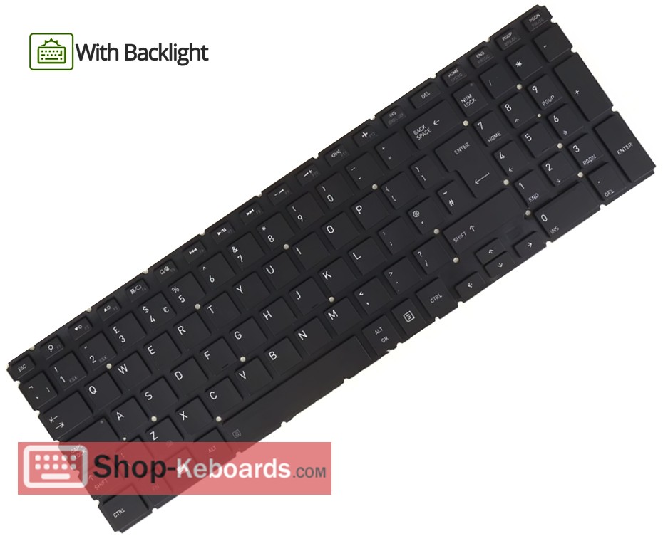 Toshiba PK131NM2B00 Keyboard replacement